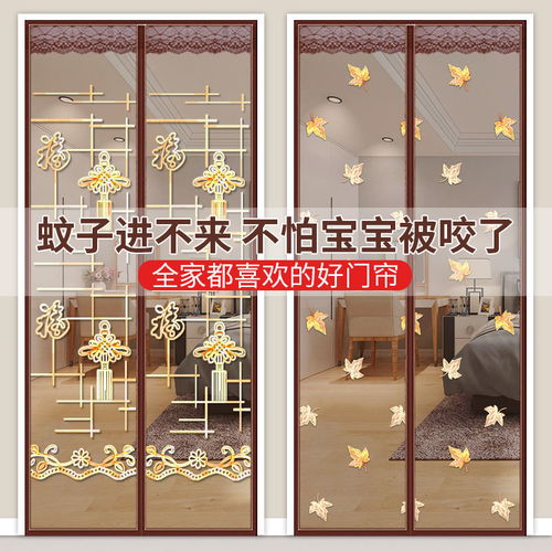 夏季家用防蚊门帘高档加密纱窗磁吸纱门防蝇静音别墅卧室客厅大门